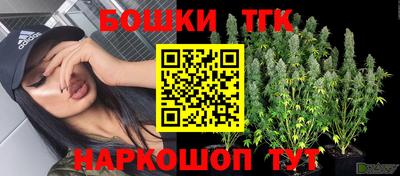 тгк Янаул